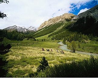 NV新活动：购买3080＆3090显卡 免费送《蜘蛛侠复刻版》